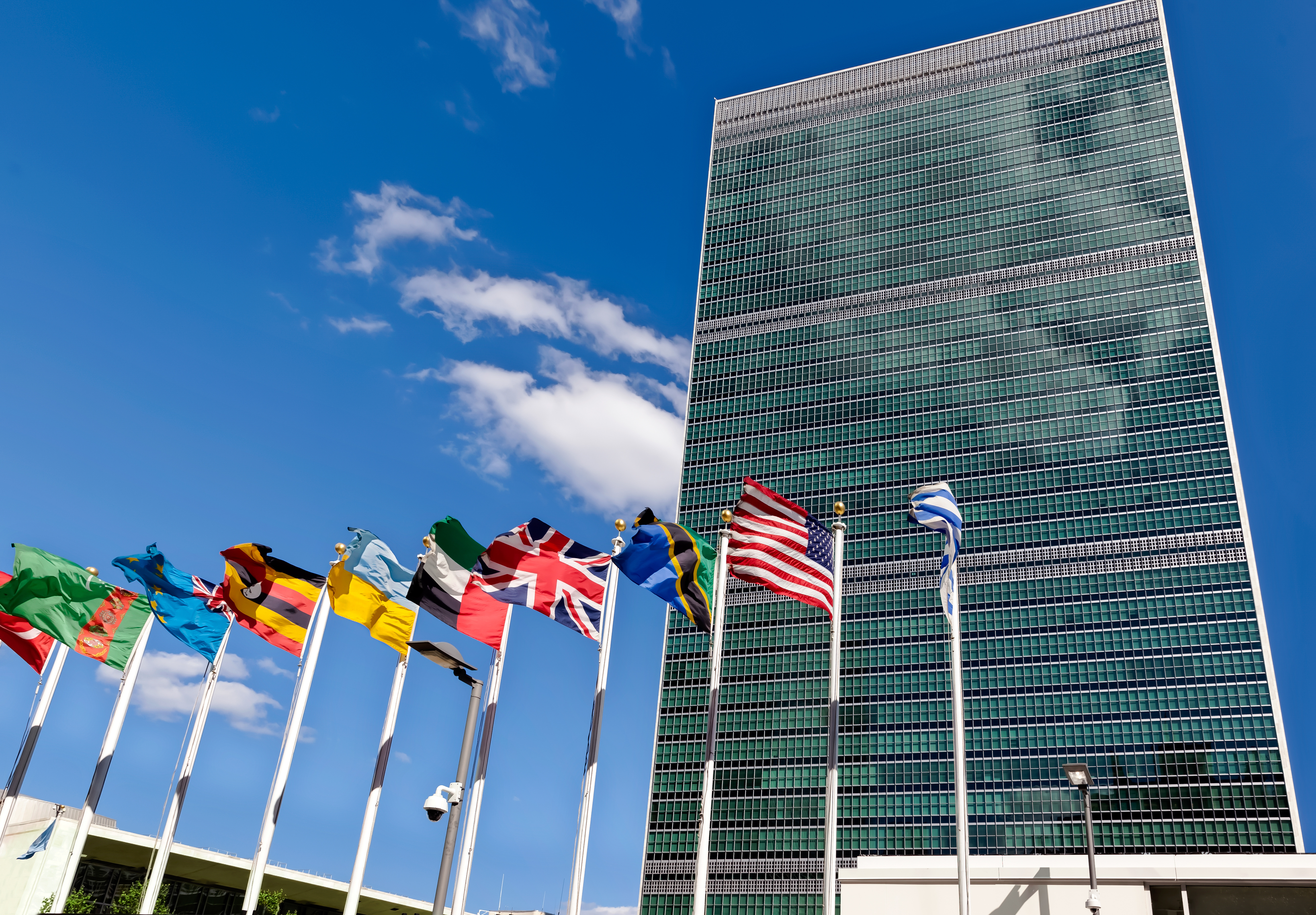 UN panel calls out 'greenwashers' and seeks net-zero regulation - Vimarsana News
