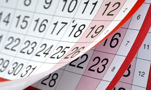 Art of Accounting: 12-month practice management and growth calendar - Vimarsana News