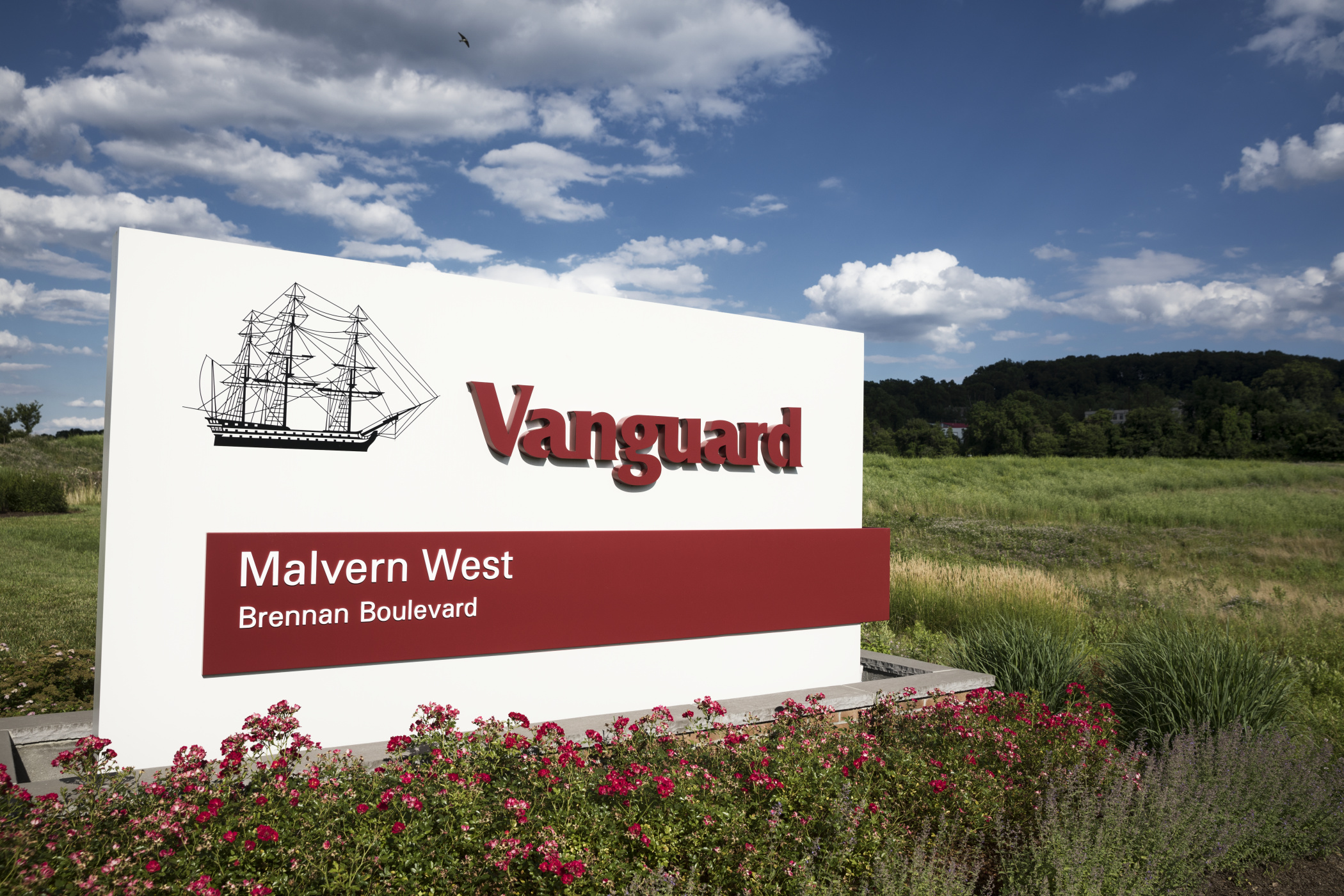 Vanguard's active bond ETF plan intensifies fund industry fee war - Vimarsana News