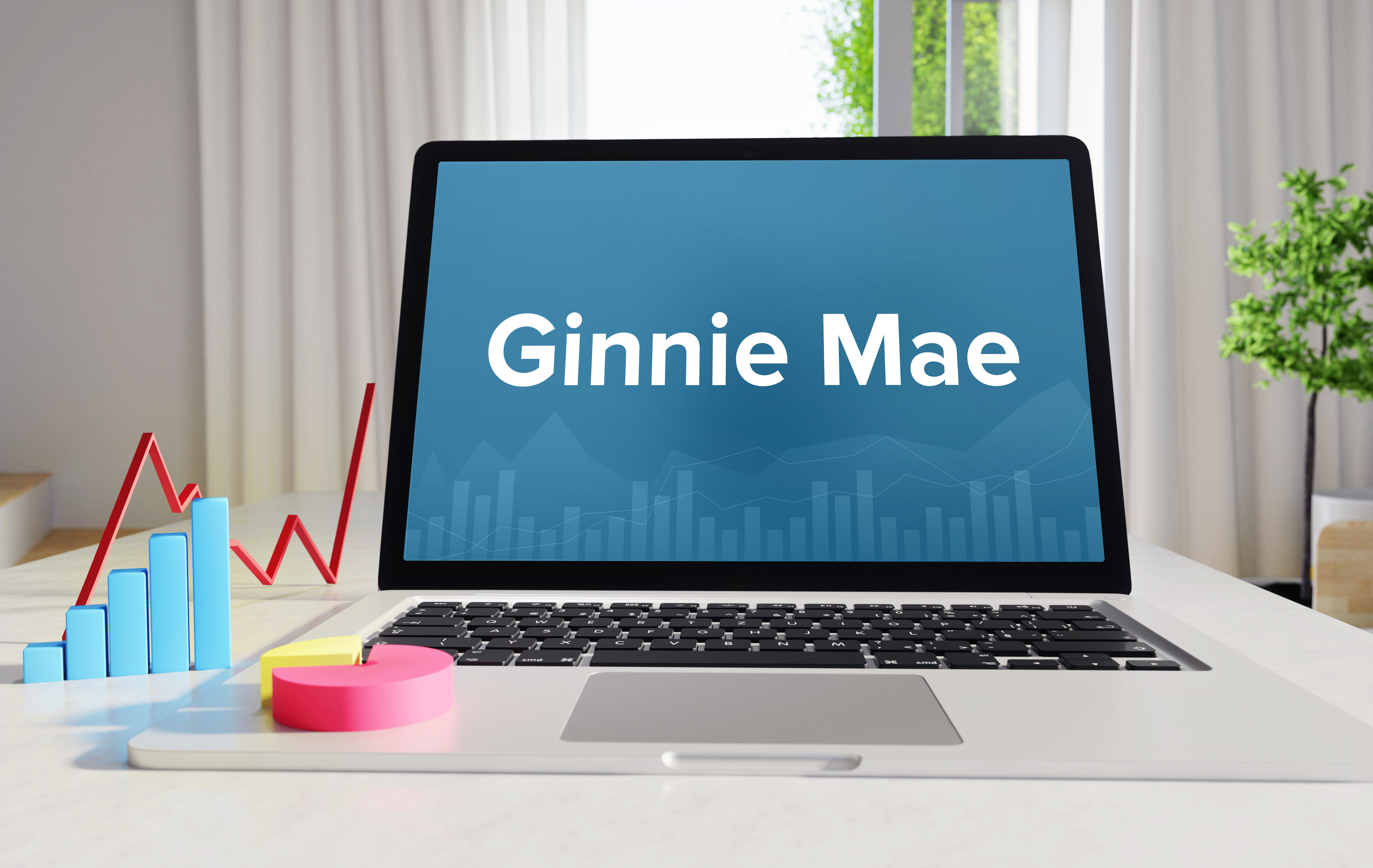 Ginnie Mae's procedures for issuer defaults have gaps, watchdog finds - Vimarsana News