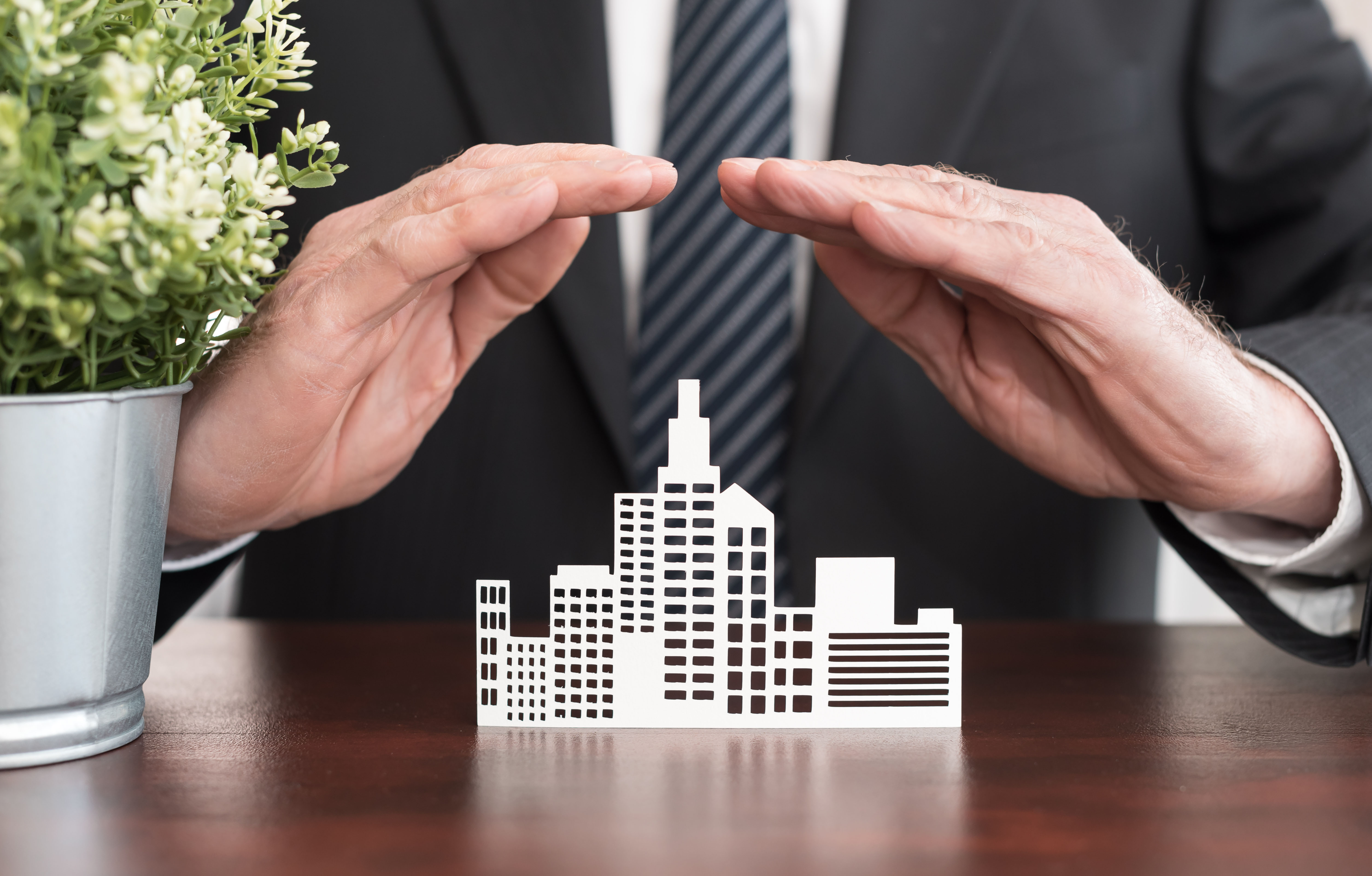 Picking the right accountant's liability insurance - Vimarsana News