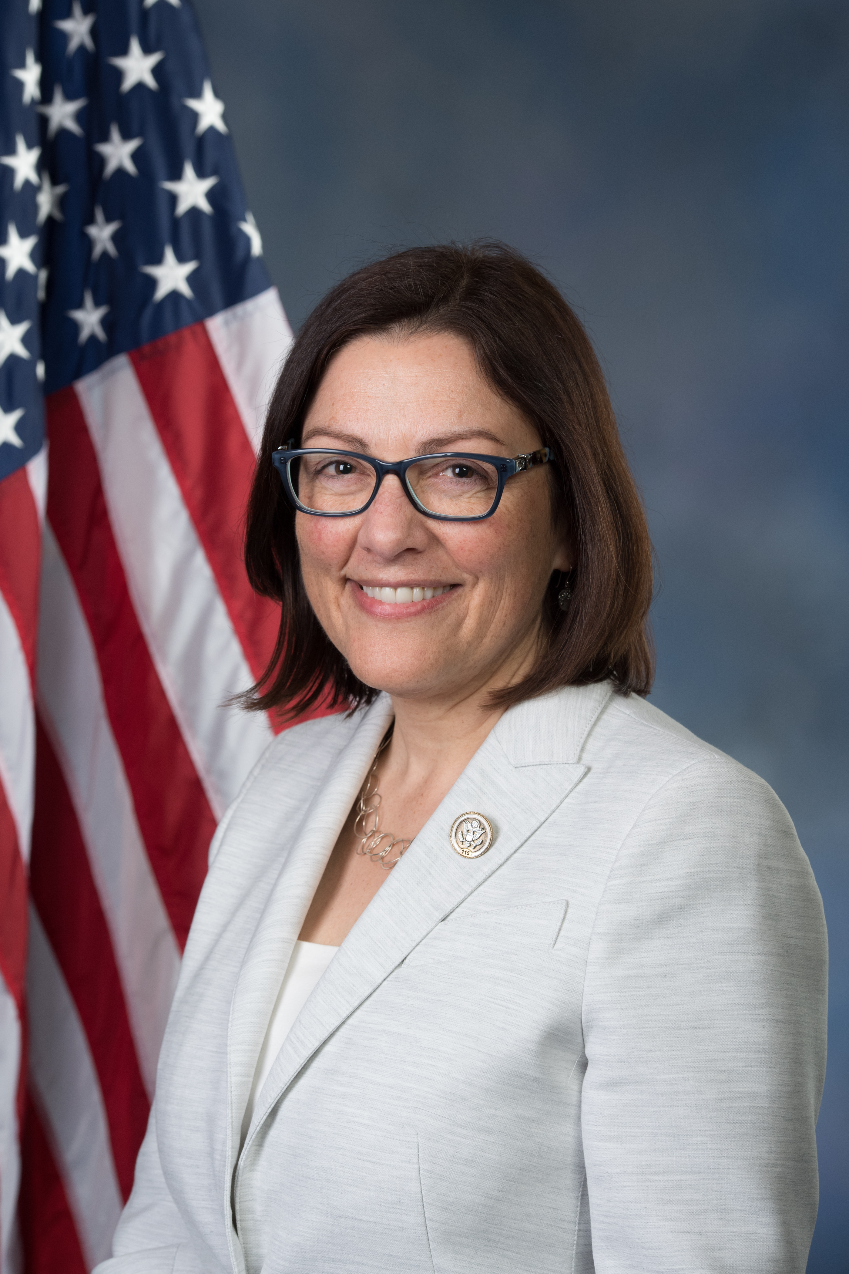 House members urge leadership to expand housing credit - Vimarsana News