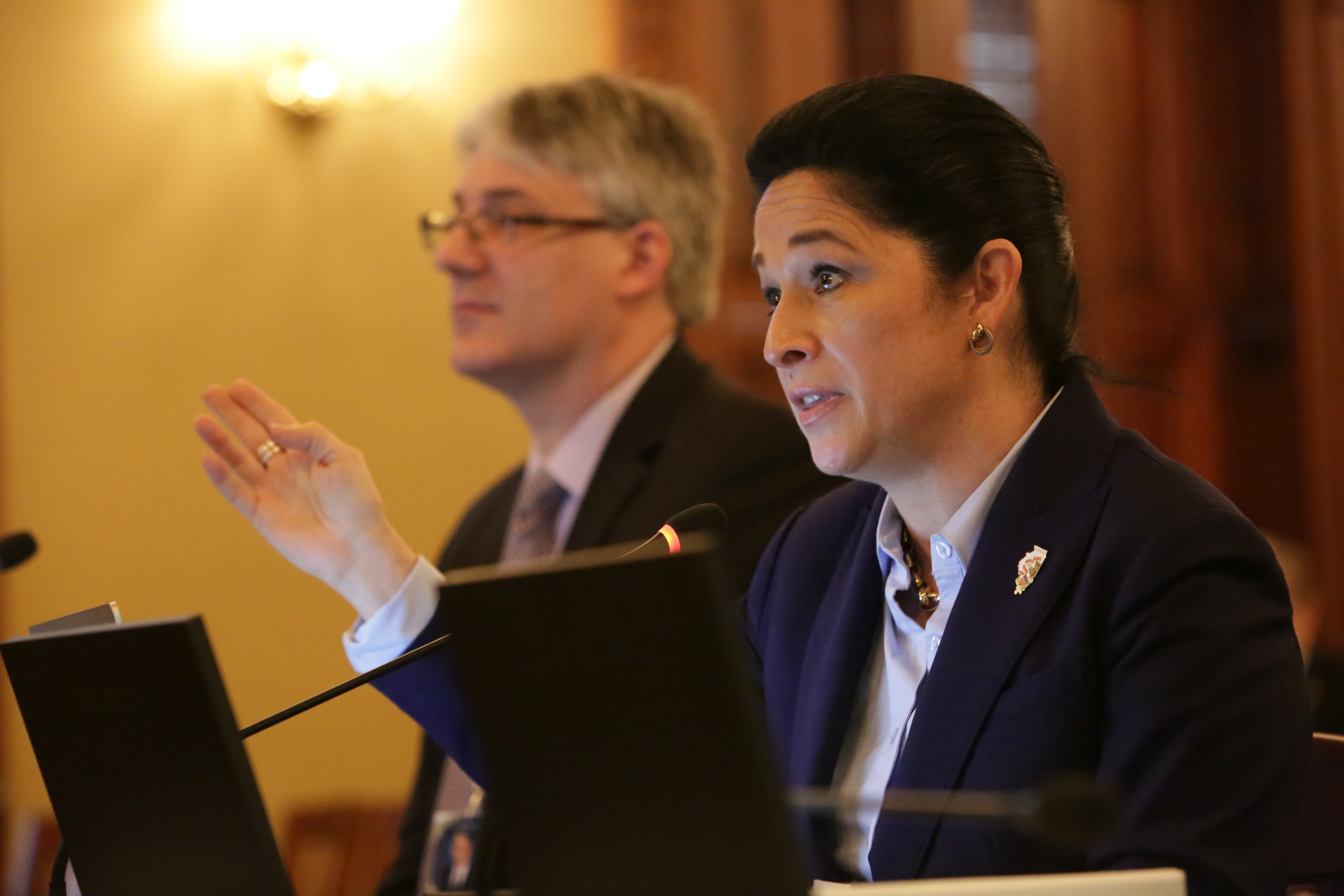 Illinois rainy-day legislation advances - Vimarsana News