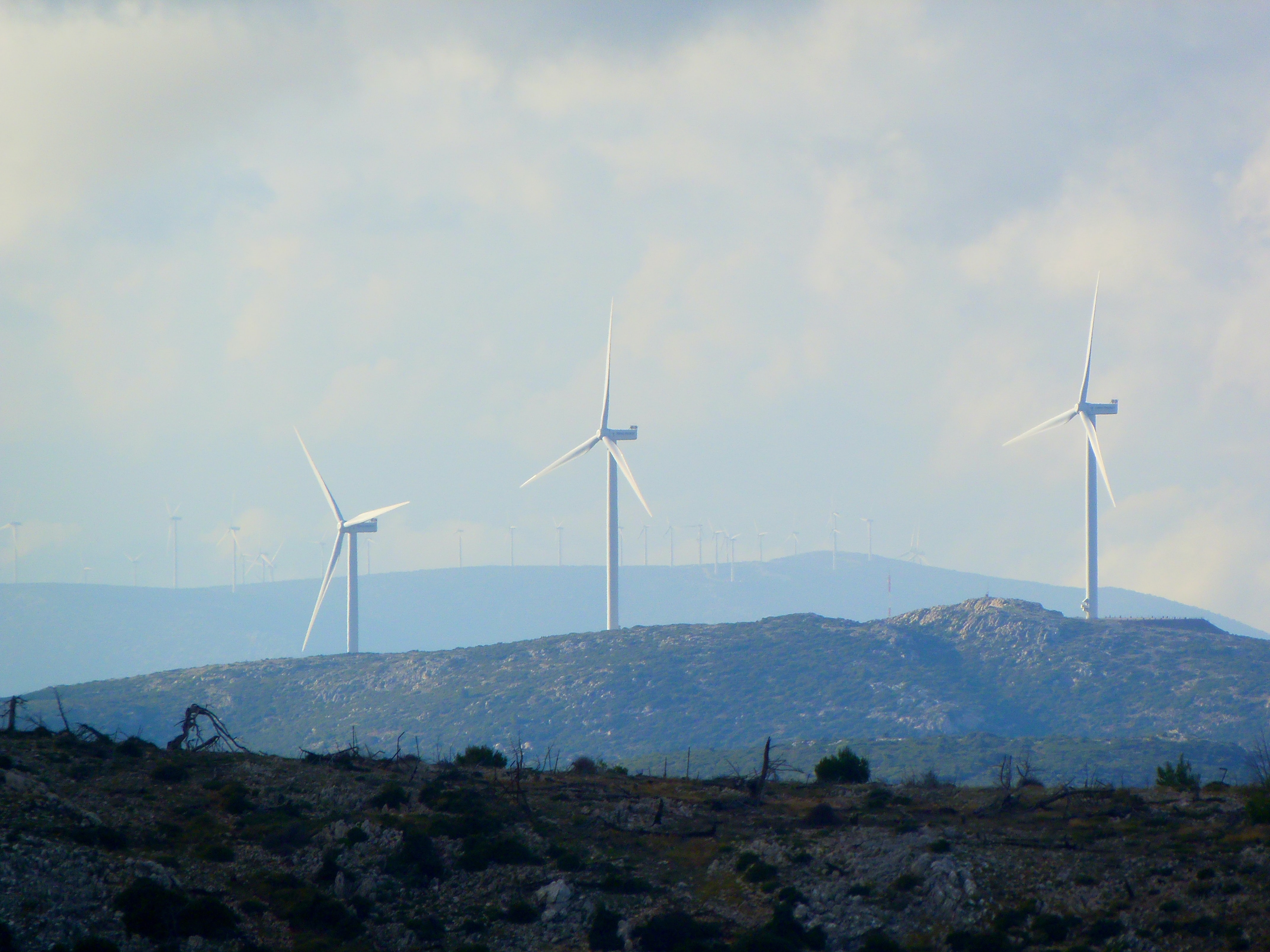 What some financial advisors get wrong about ESG - Vimarsana News