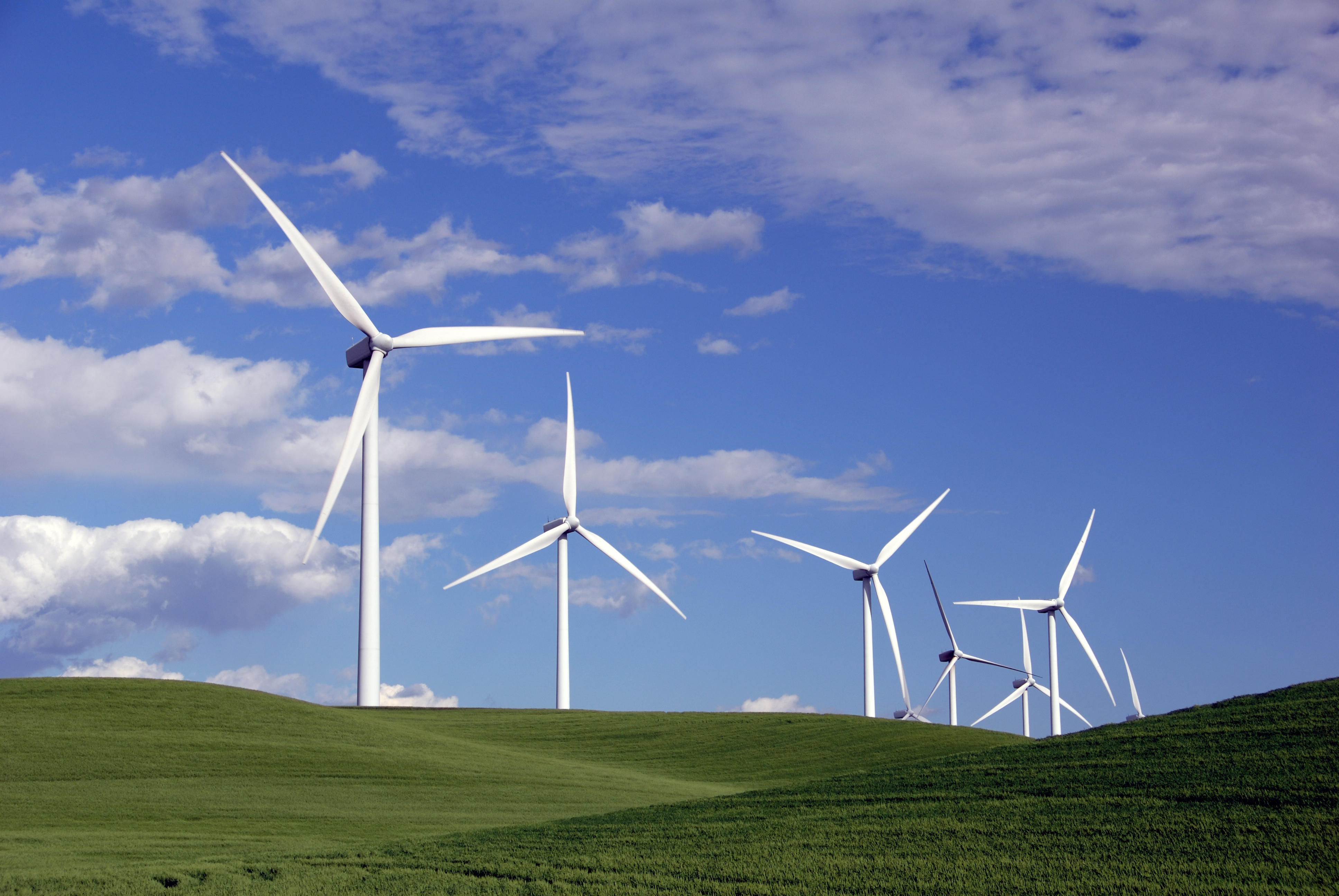 An $8B ESG market pits EU lawmakers against audit firms - Vimarsana News