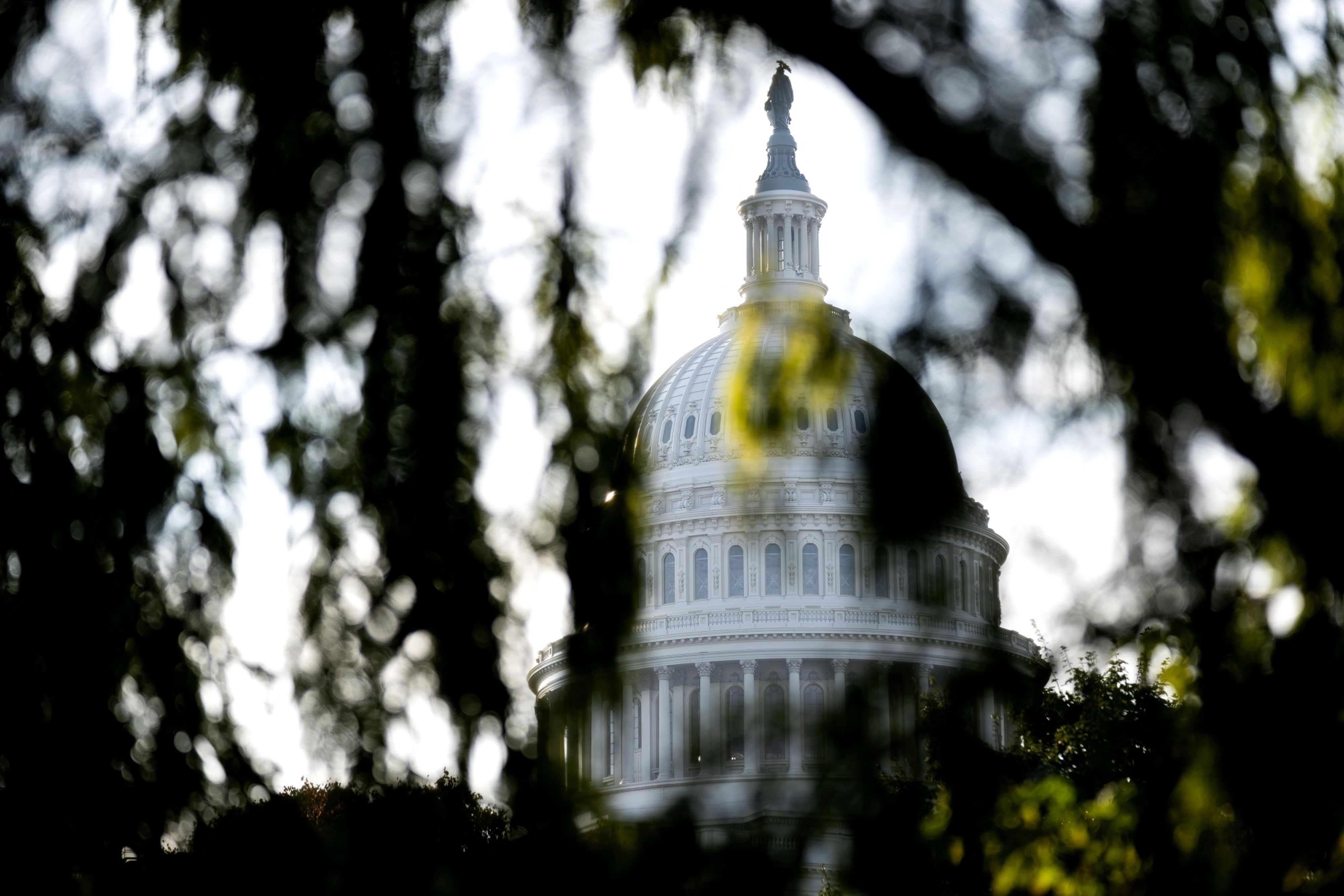 Stock trader's guide to 2022 midterm elections - Vimarsana News