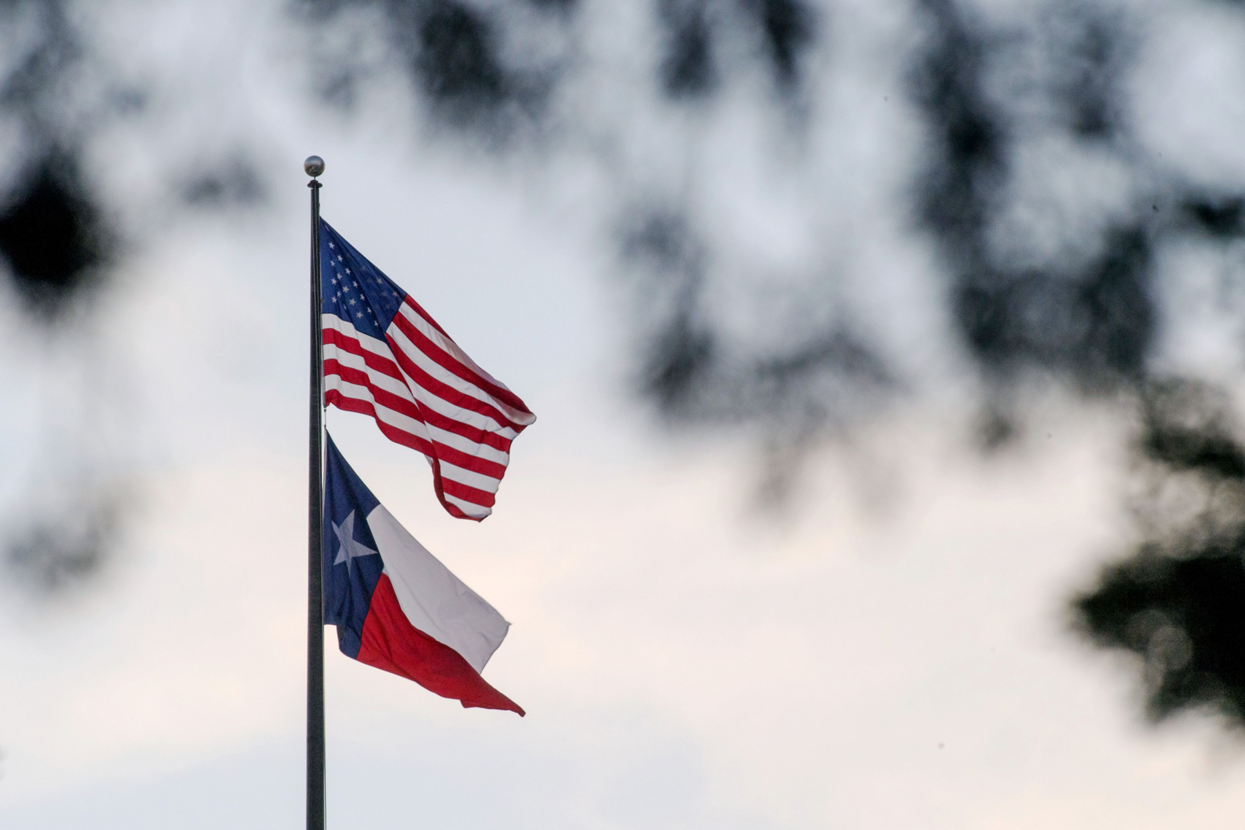 Bookkeeper embezzles $29M from prominent Texas family - Vimarsana News