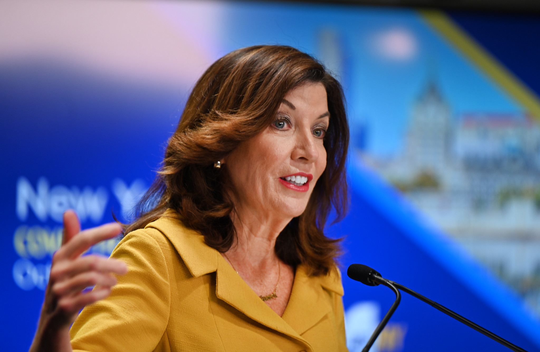New York's Hochul, DiNapoli launch state transparency initiatives - Vimarsana News