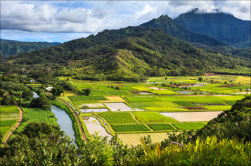 IPSASB considers guidance on accounting for natural resources - Vimarsana News