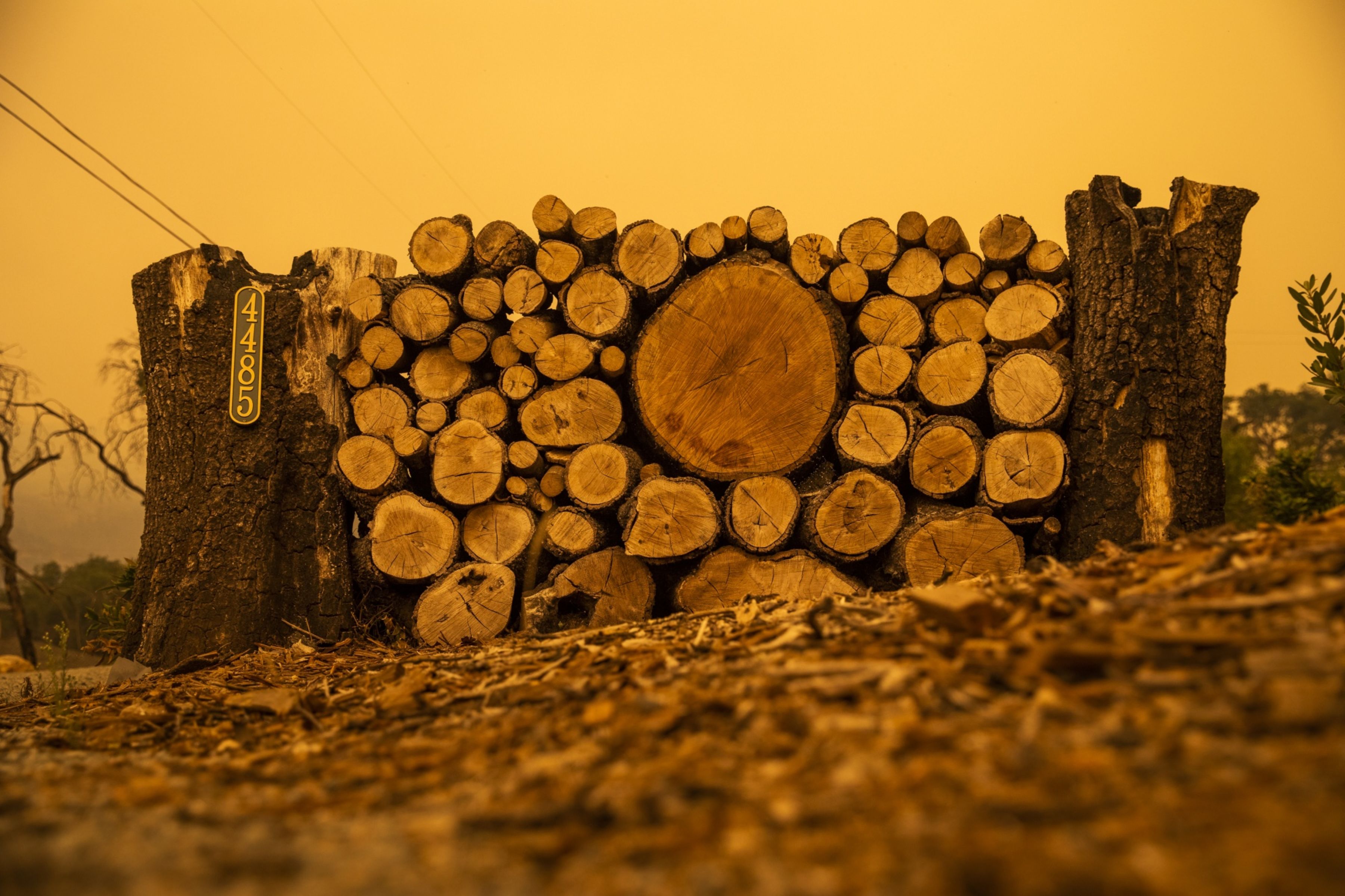 Applicants line up for California IBank's wildfire prevention funding - Vimarsana News