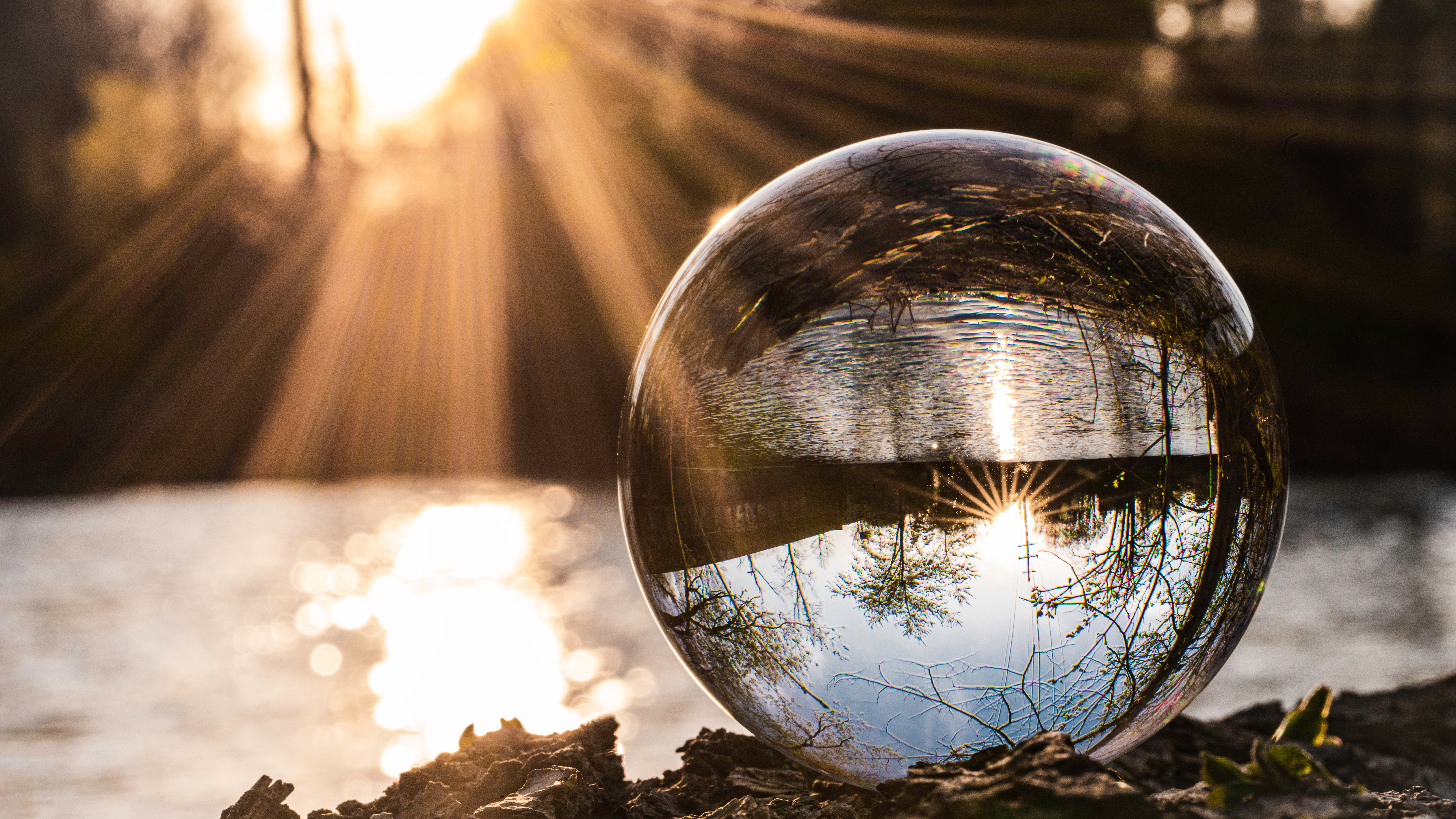 RIA leaders predict trends for 2022 | Financial Planning - Vimarsana News