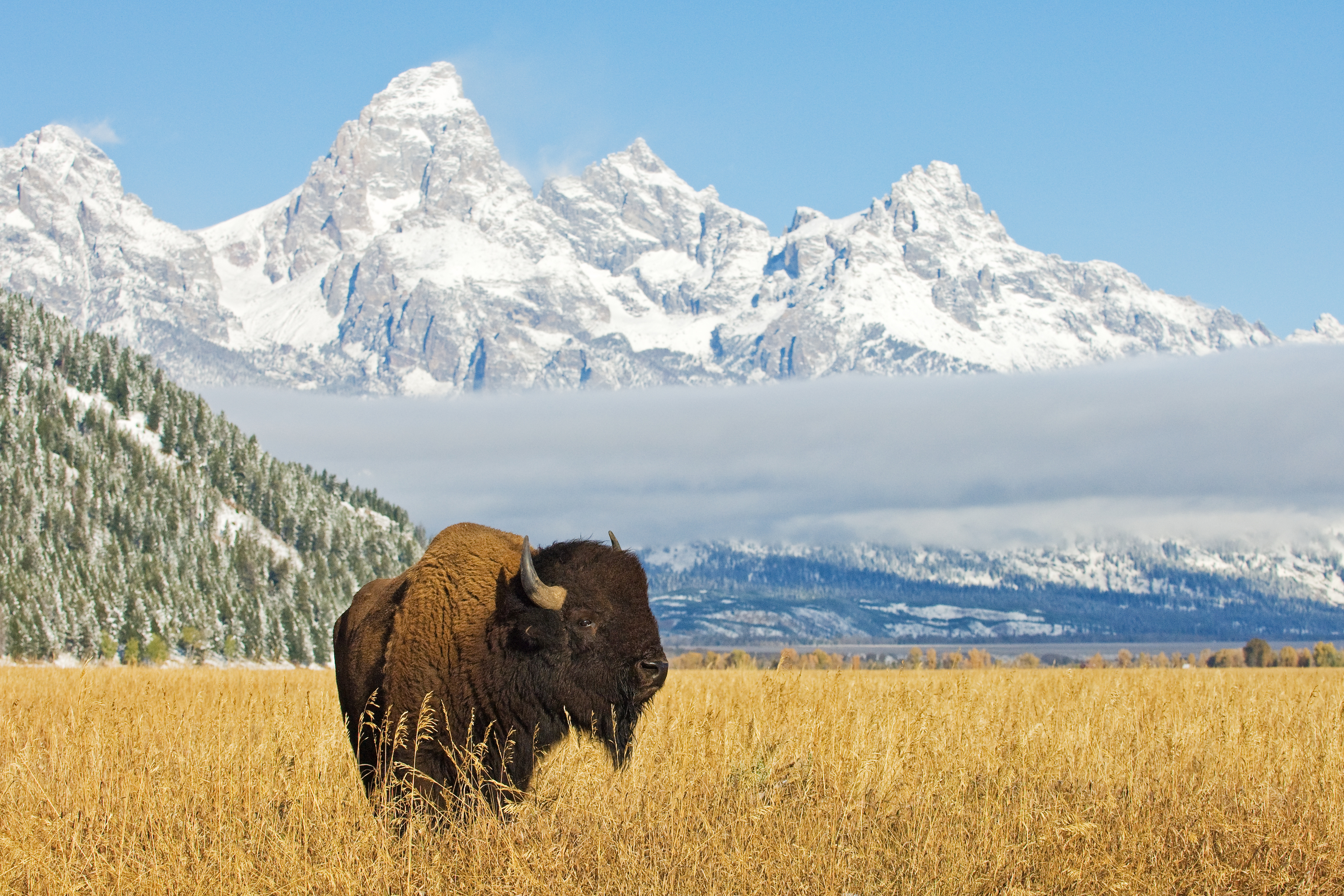Patience wears thin in Wyoming as crypto banks await Fed approval - Vimarsana News