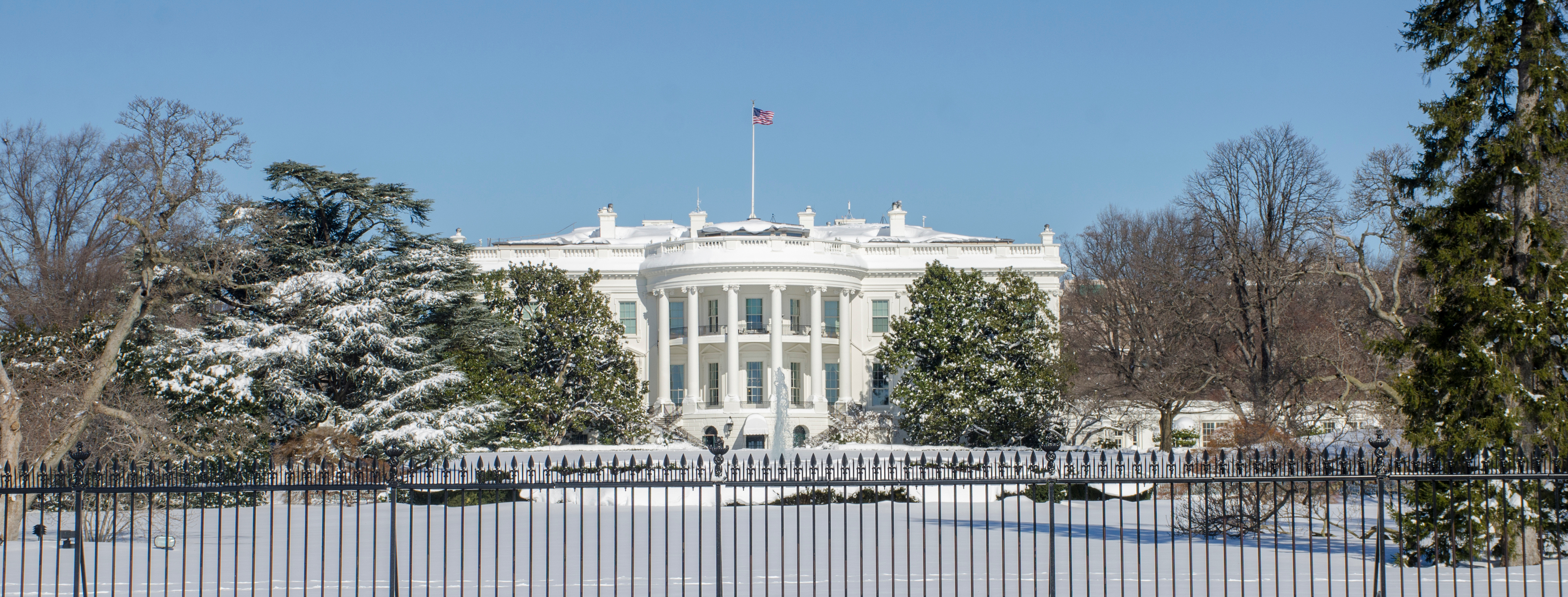 White House push for consumer rights for AI hits hiring and lending - Vimarsana News