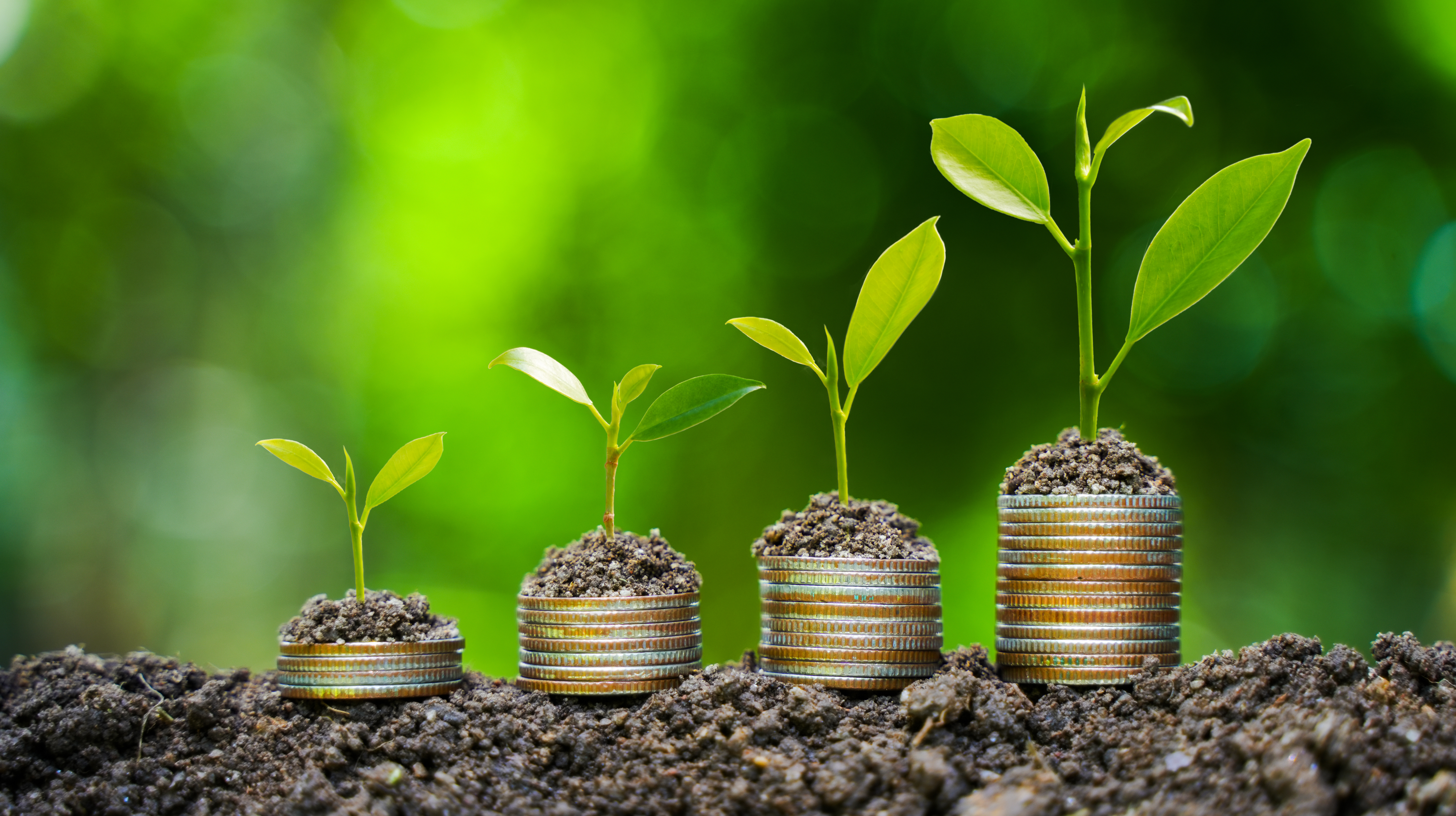 Research paper finds ESG investors who cite ethics still expect investment returns - Vimarsana News