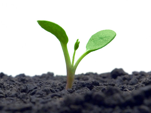 Public sector should adopt green budgeting, says ACCA - Vimarsana News