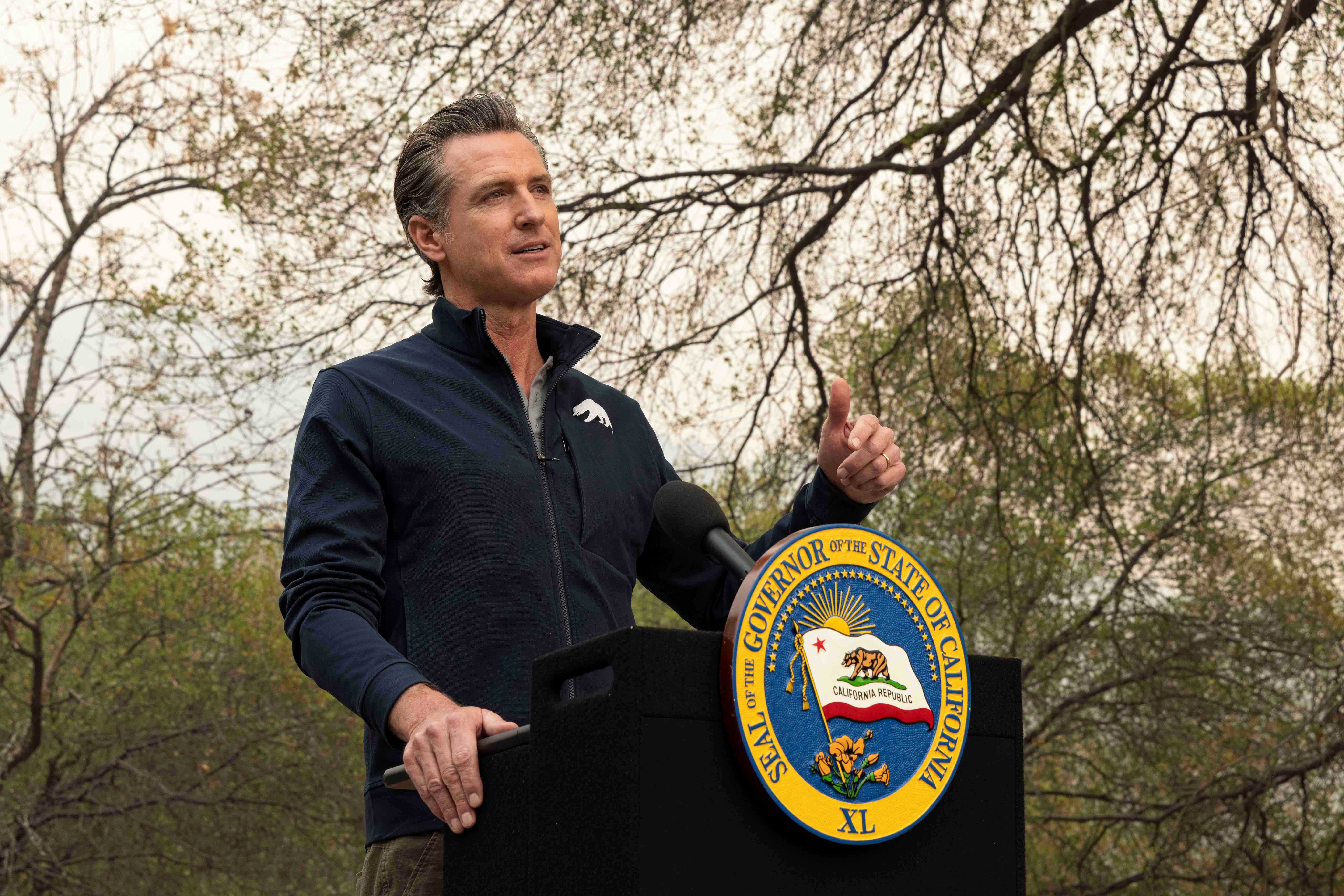 Disposition of California's surplus may be rating inflection point - Vimarsana News