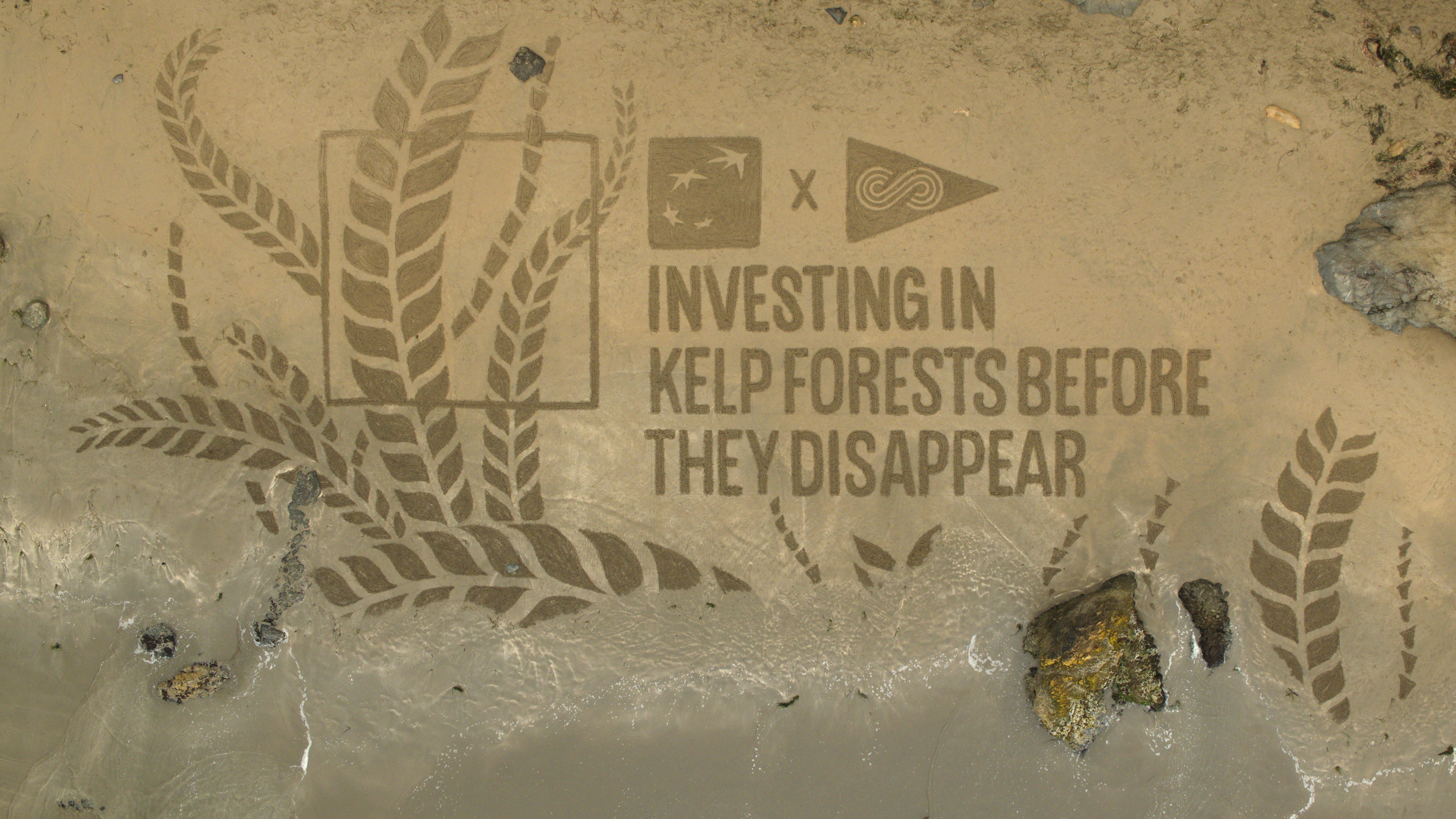 Sea change: Bank of the West's artful message about the ecosystem - Vimarsana News