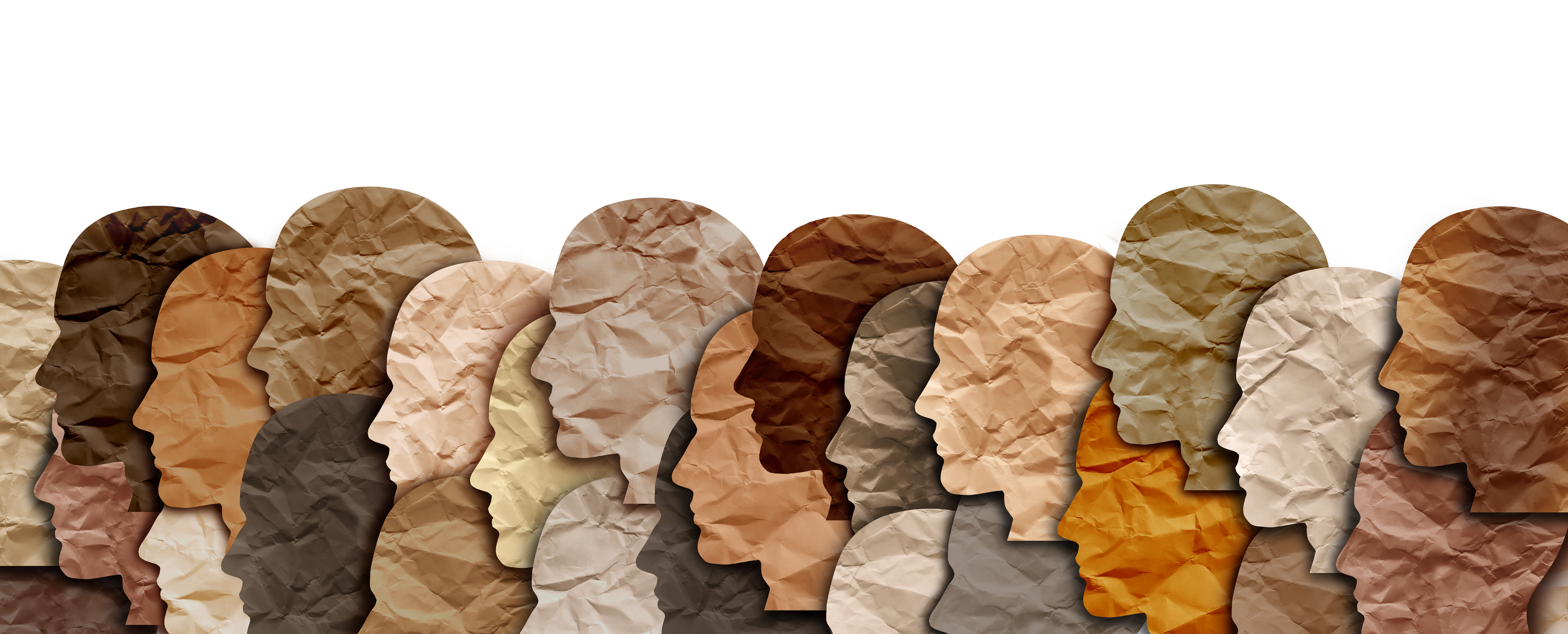 The many faces of diversity in accounting - Vimarsana News