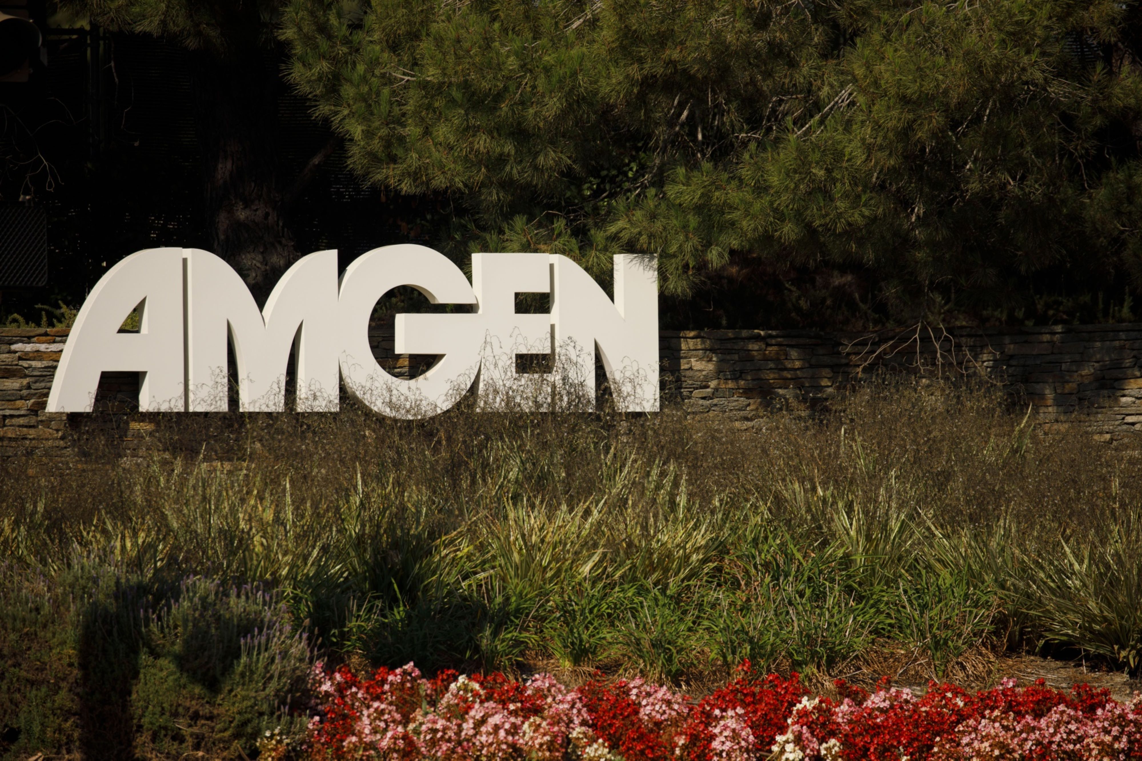 'Bizarre' potential $7.1B tax bill sinks Amgen shares - Vimarsana News