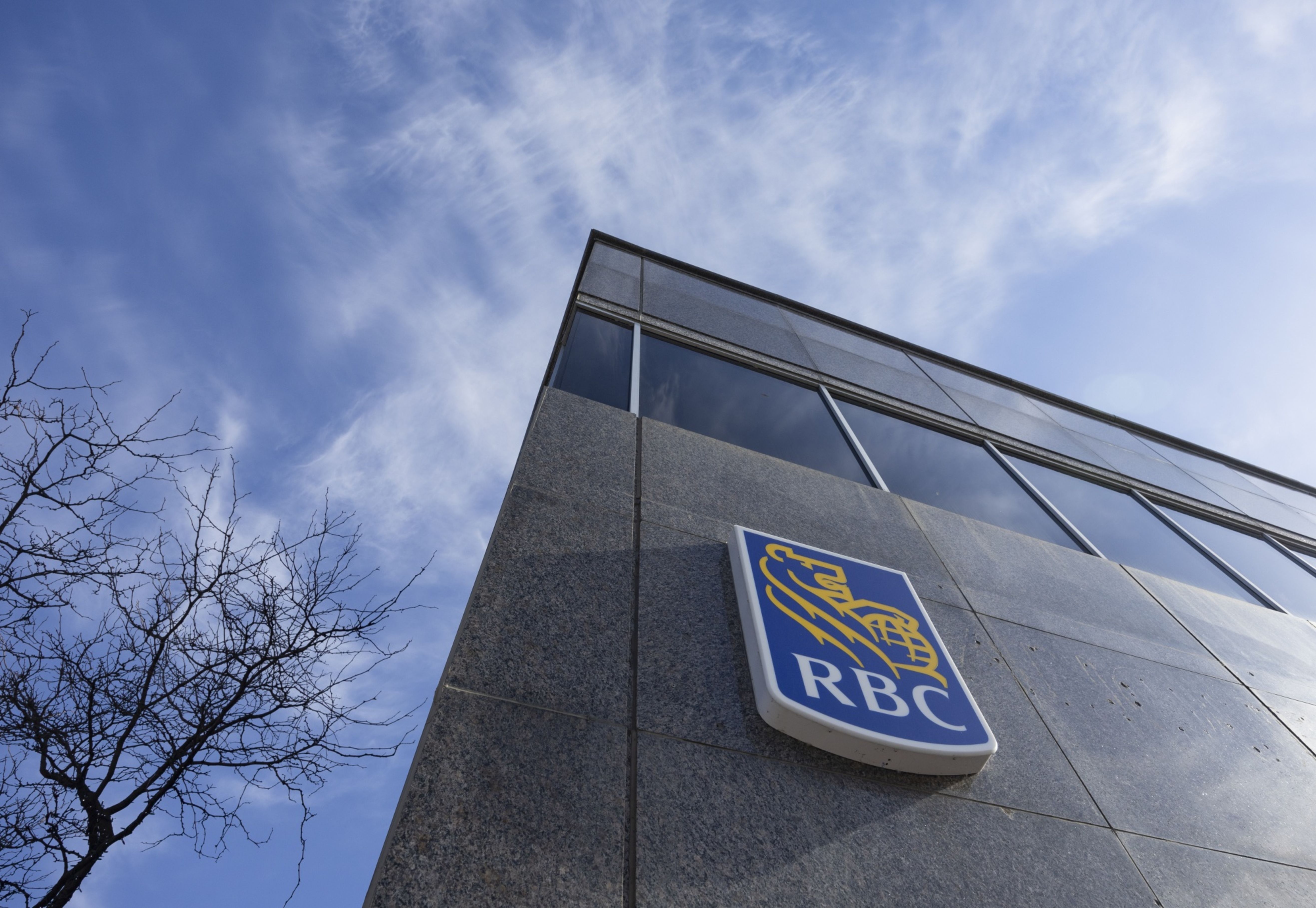 RBC targets emissions-intensity cuts, balking at stronger goals - Vimarsana News