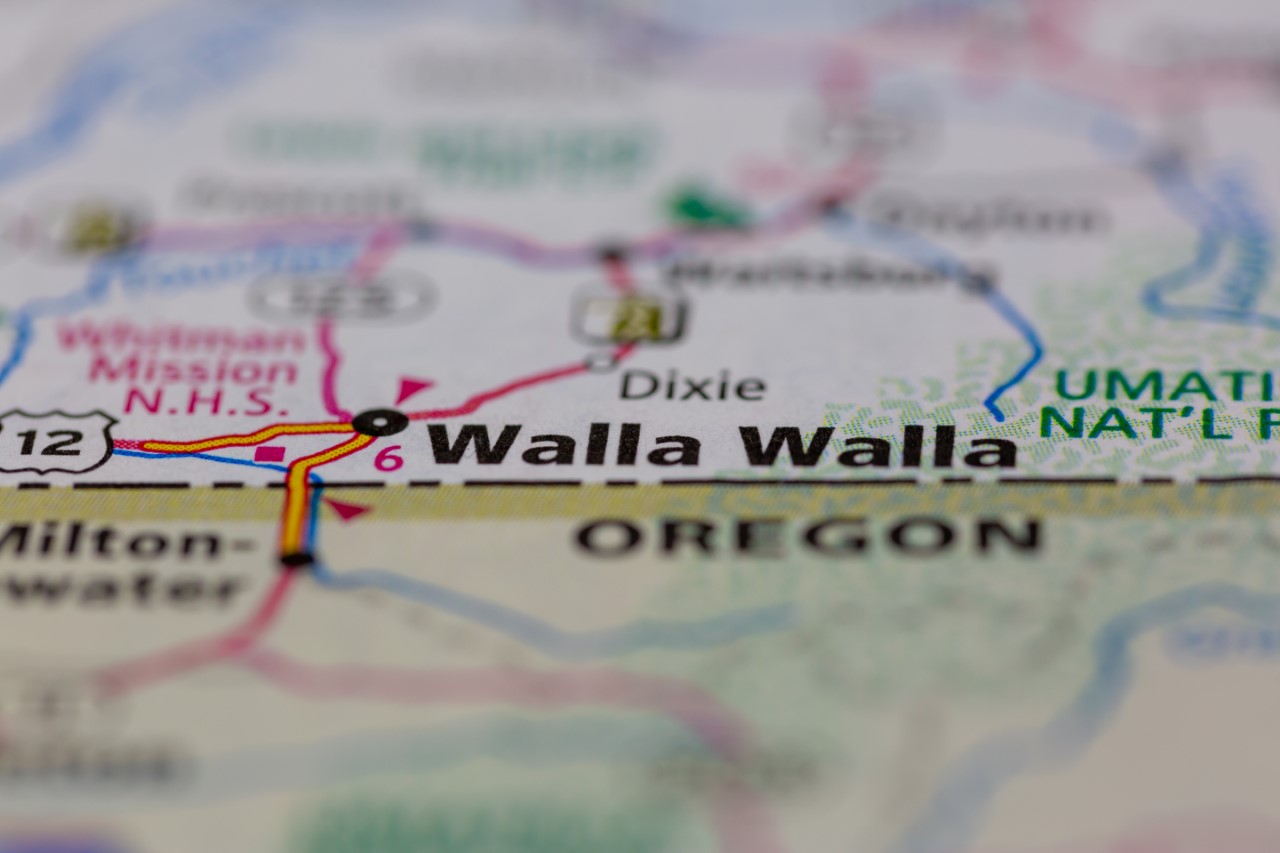 Banner in Washington state names next CFO - Vimarsana News