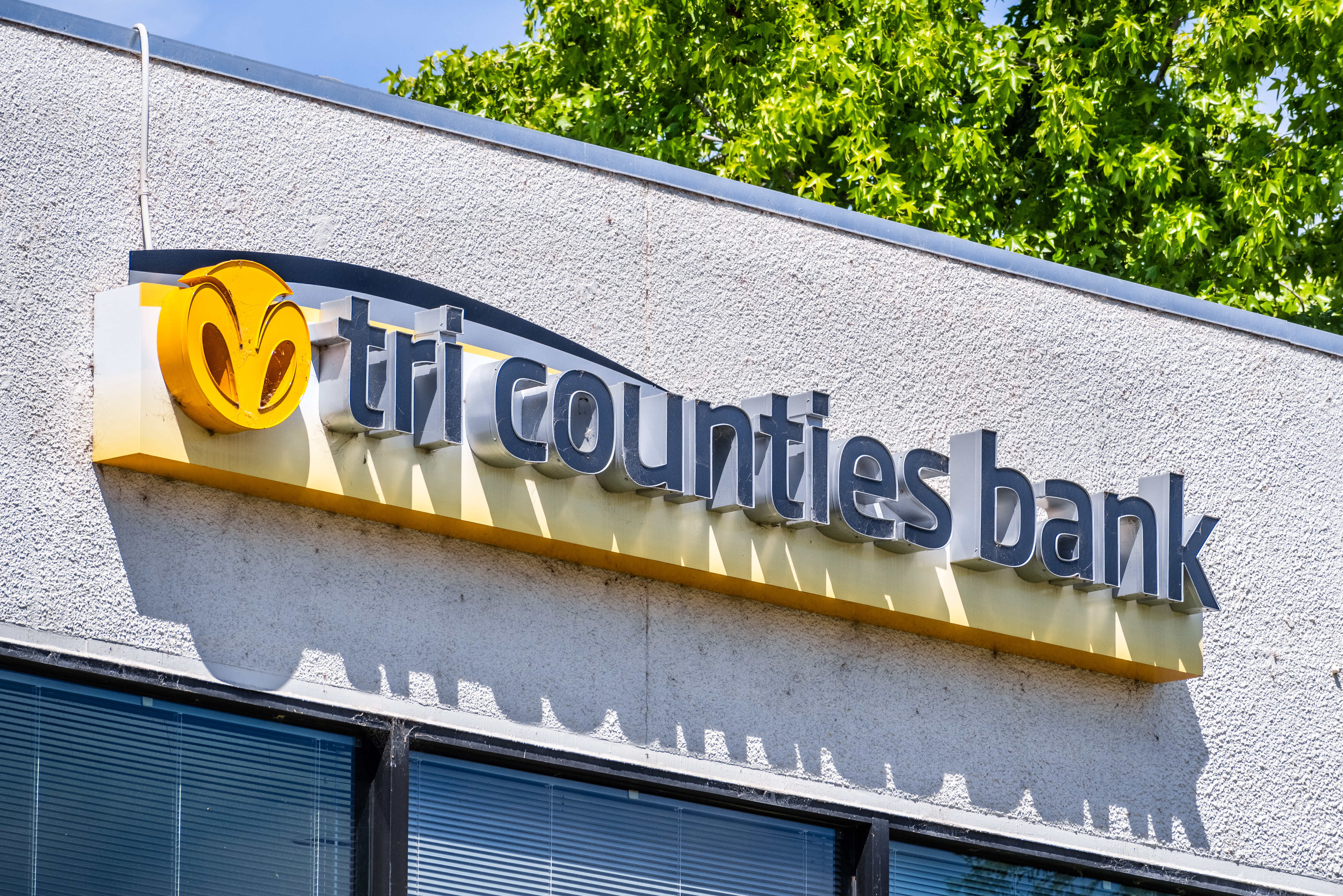 Chico bank suffers its second cyberattack of the year - Vimarsana News