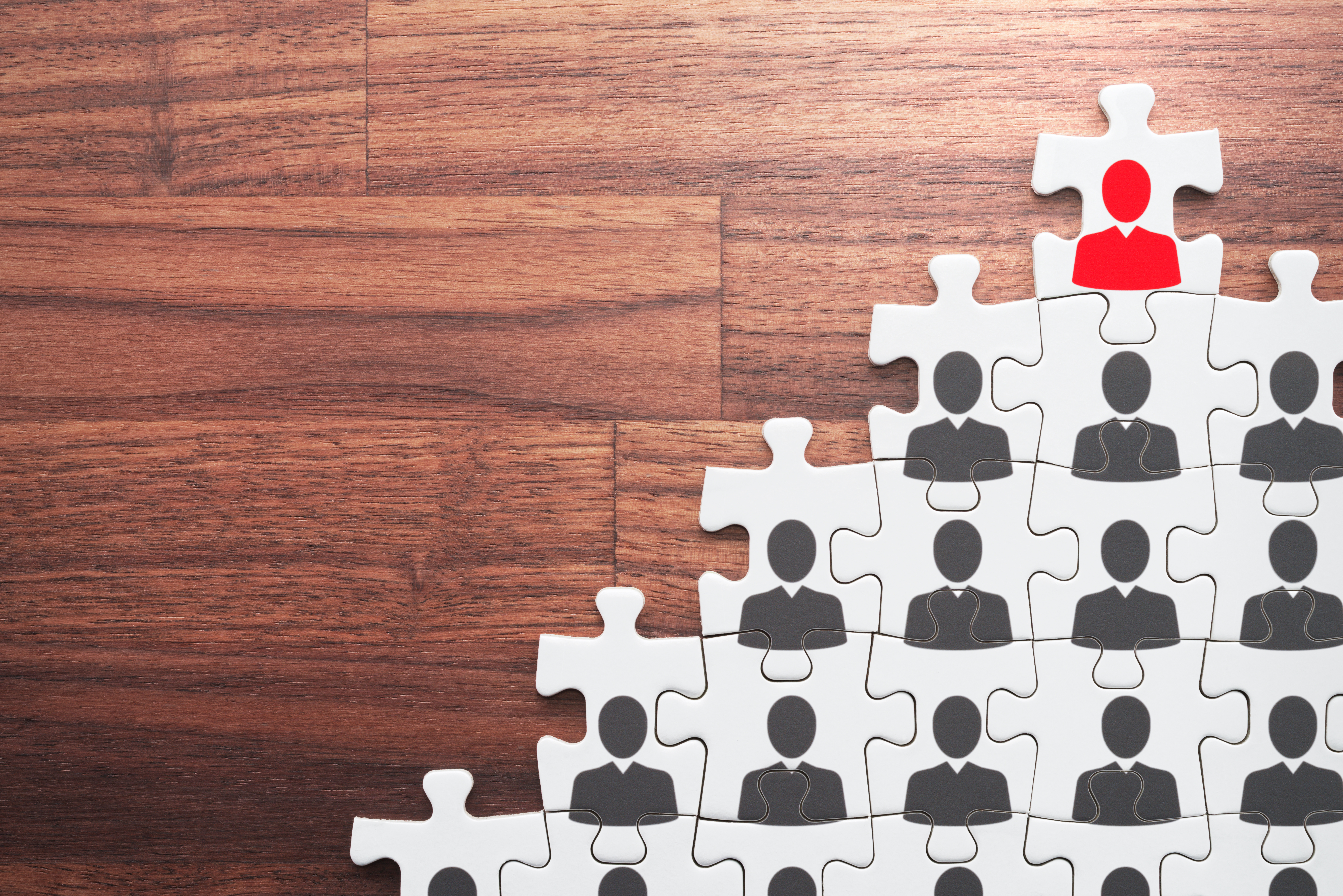 New Jersey's largest credit union promotes CFO to CEO - Vimarsana News